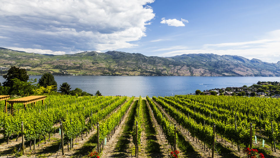 Spring into Summer with Wine Festival Events and Okanagan Wine Tours