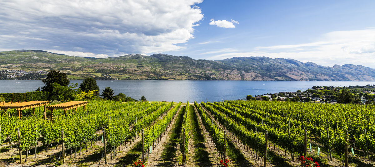Visit a vineyard with the many Okanagan Wine Festival spring and summer events and Okanagan wine tours available from Comfort Suites Kelowna hotel.